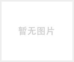 电厂浆液循环泵叶轮防磨耐磨弹性体聚氨酯涂层(NR-7S)